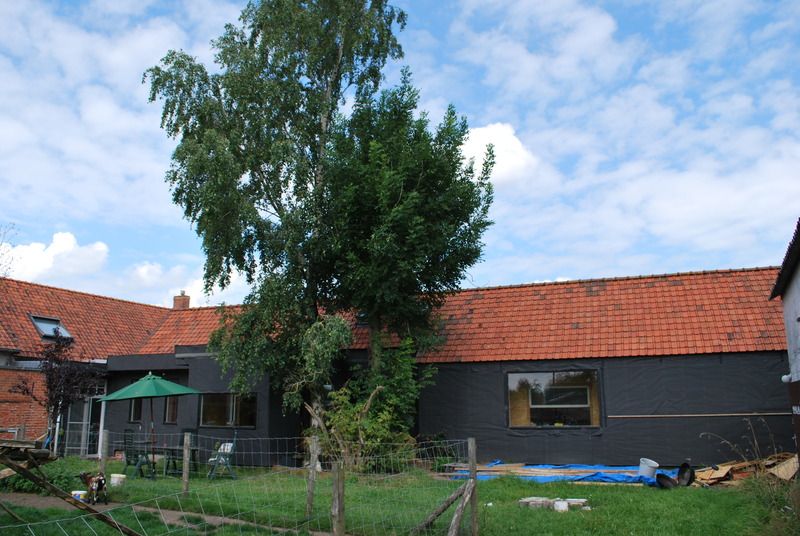 DSC_1501_zpswzp6vqtq.jpg
