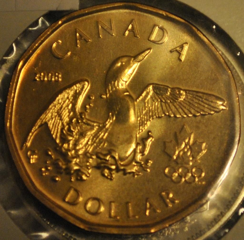 Worksheet Toonies And Loonies 2014 wait for me daddy canadian 2 dollars sold out coin nice terry fox and 2006 lucky loonie i got all these loonies of circulation the toonie is a proof from 2012