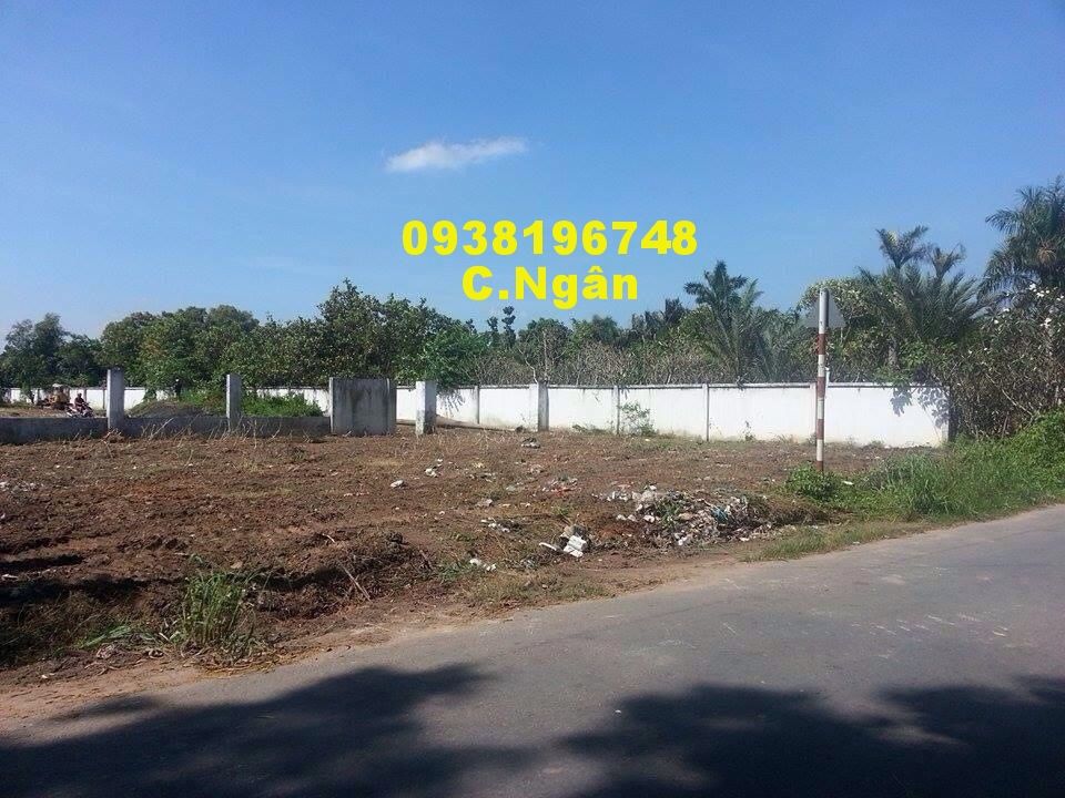 Hóc Môn cần bán đất mặt tiền  rộng 4.200m2 - 1