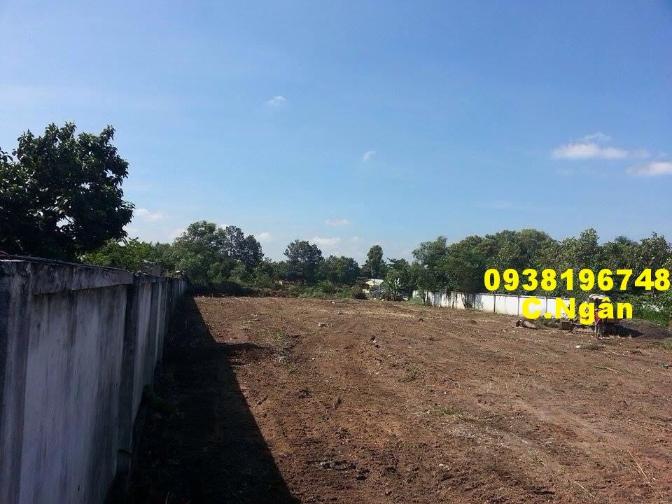 Hóc Môn cần bán đất mặt tiền  rộng 4.200m2 - 2