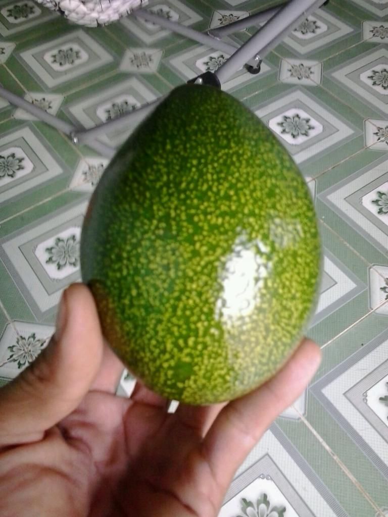 Chuyen si le bo sap daklak . - 5