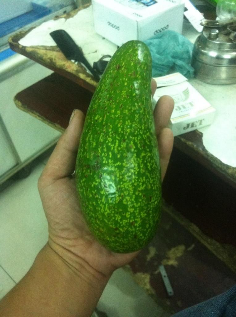 Chuyen si le bo sap daklak .