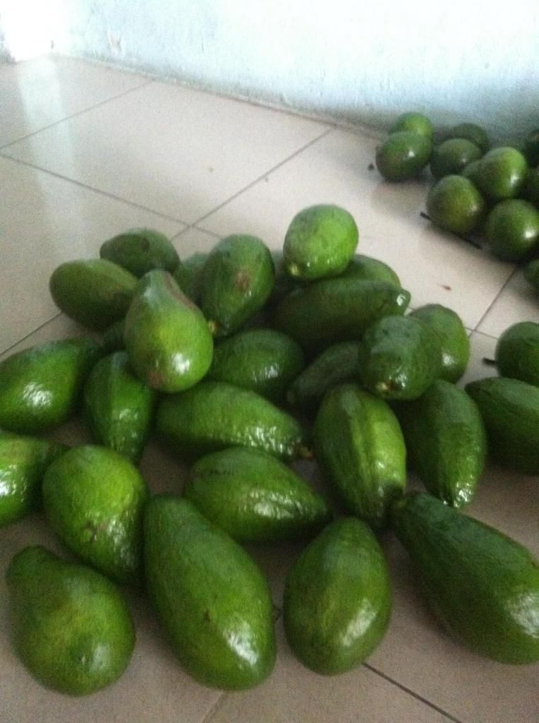 Chuyen si le bo sap daklak . - 6