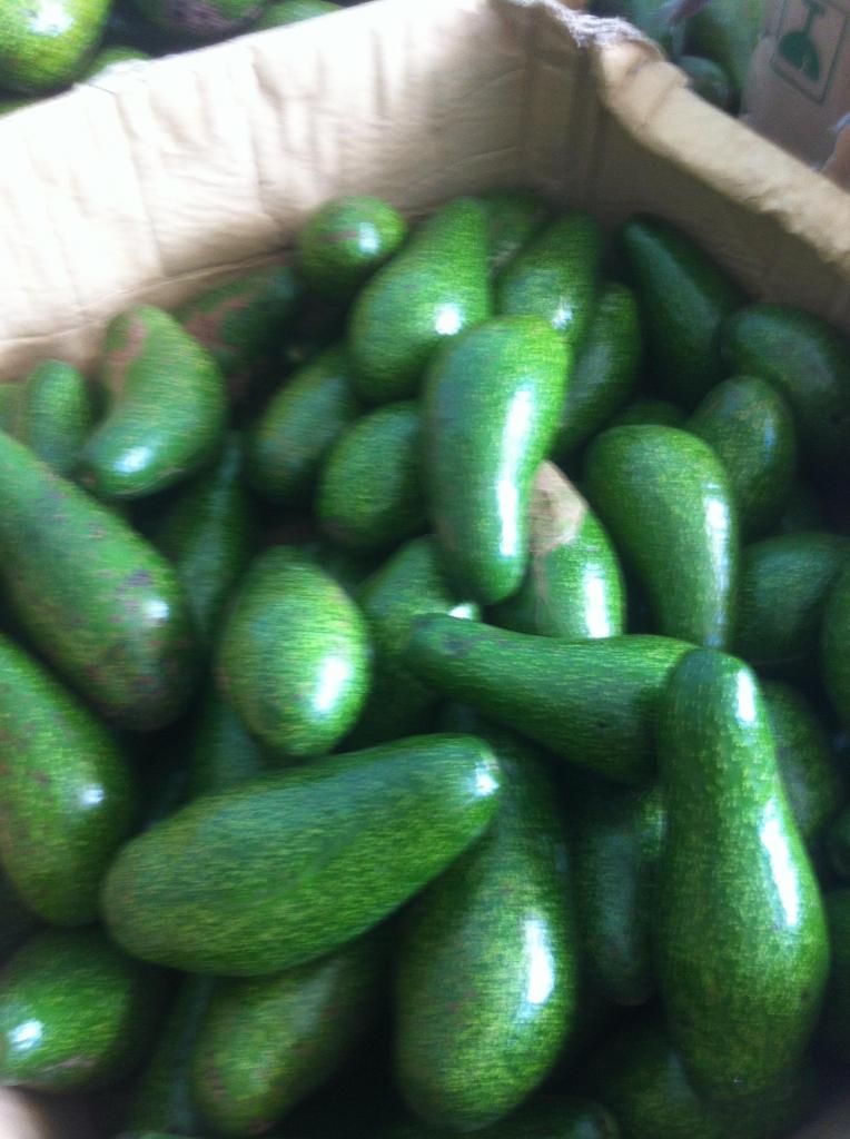 Chuyen si le bo sap daklak . - 3