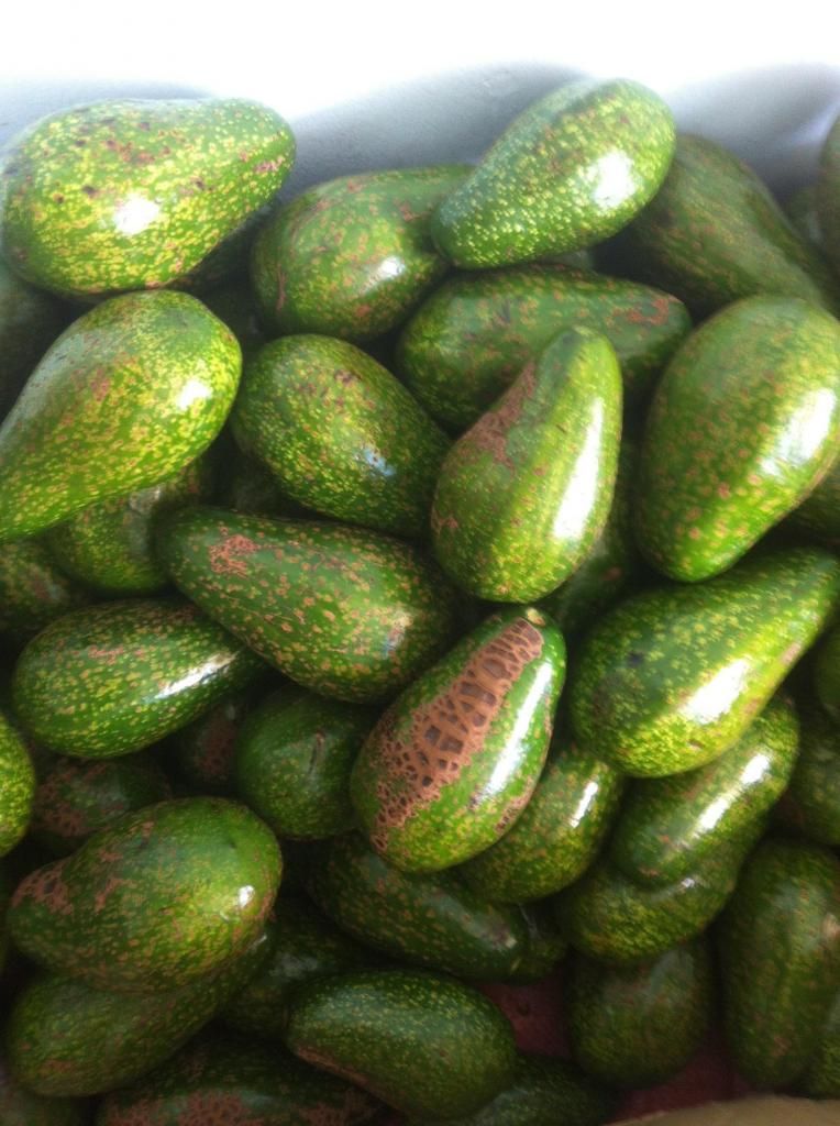 Chuyen si le bo sap daklak . - 2