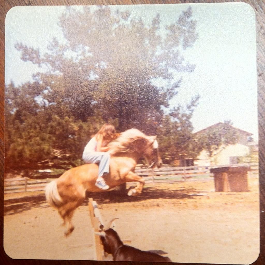 Me & Sunshine Back In the Day photo MeampSunshine_zps5a2bd35a.jpg