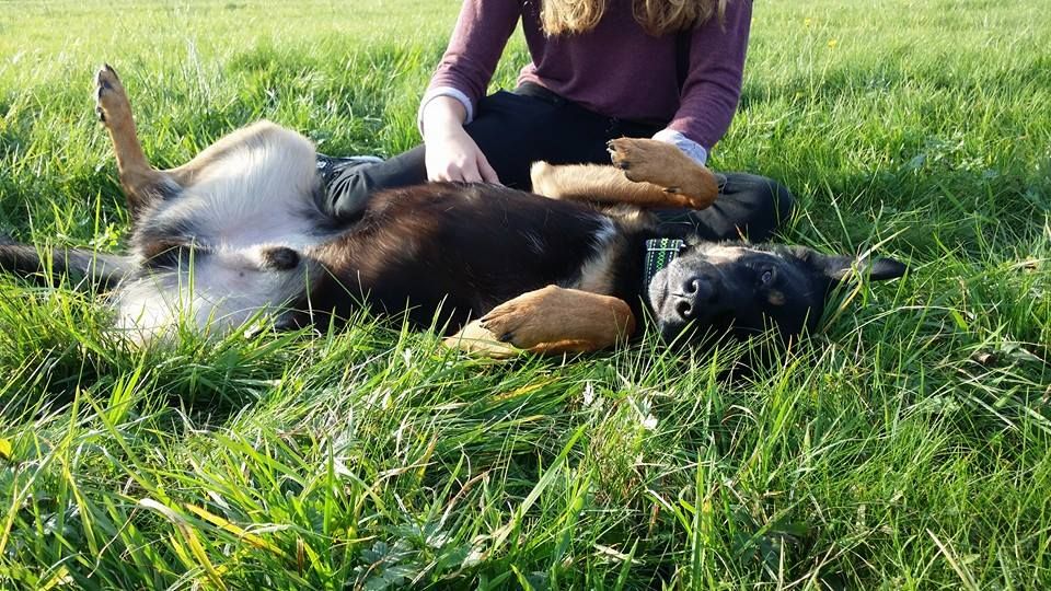 10407085_757455710992978_153159148449229