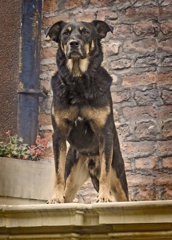 10670161_10204896127621969_6327151690549