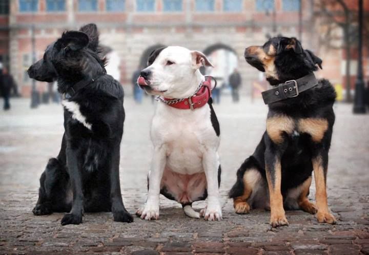 1662278_10203203797594776_1655968621_n_z