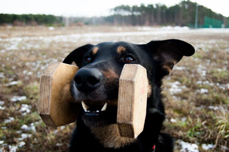 10001284_761462120605131_360984020354546