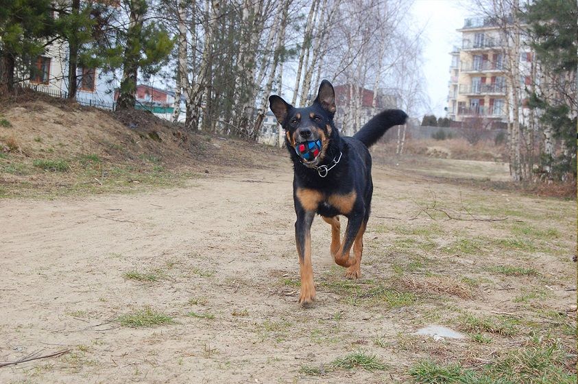 DSC_1964%20mdash%20Odzyskano_zpssolzfnxt