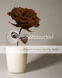 chocolateflower_zps91ed52cb.jpg
