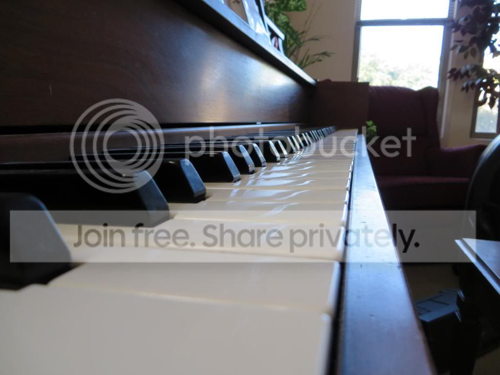 IMG_0011_zpse022b5ee.jpg