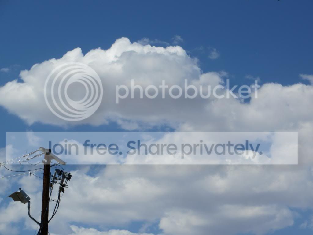 IMG_0176_zps26e1549c.jpg