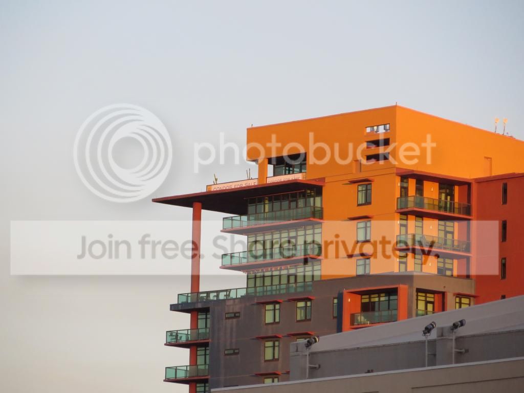 IMG_0202_zps40e49650.jpg