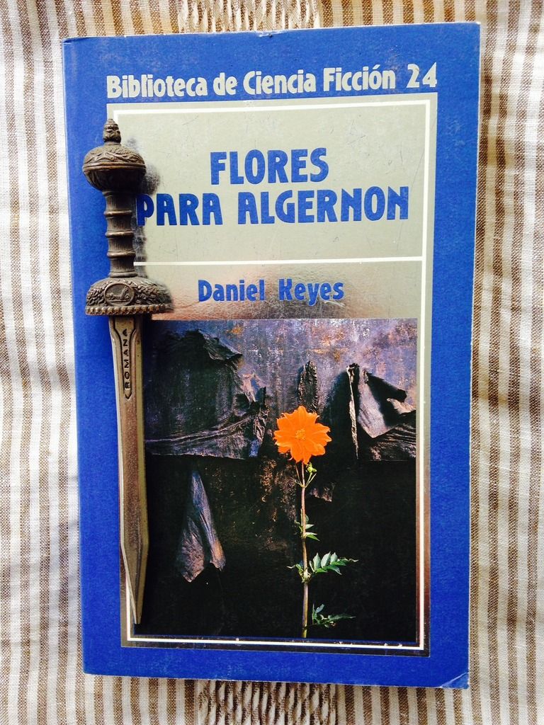 photo 01.FloresParaAlgernon1_zpsd8zeqhwi.jpg