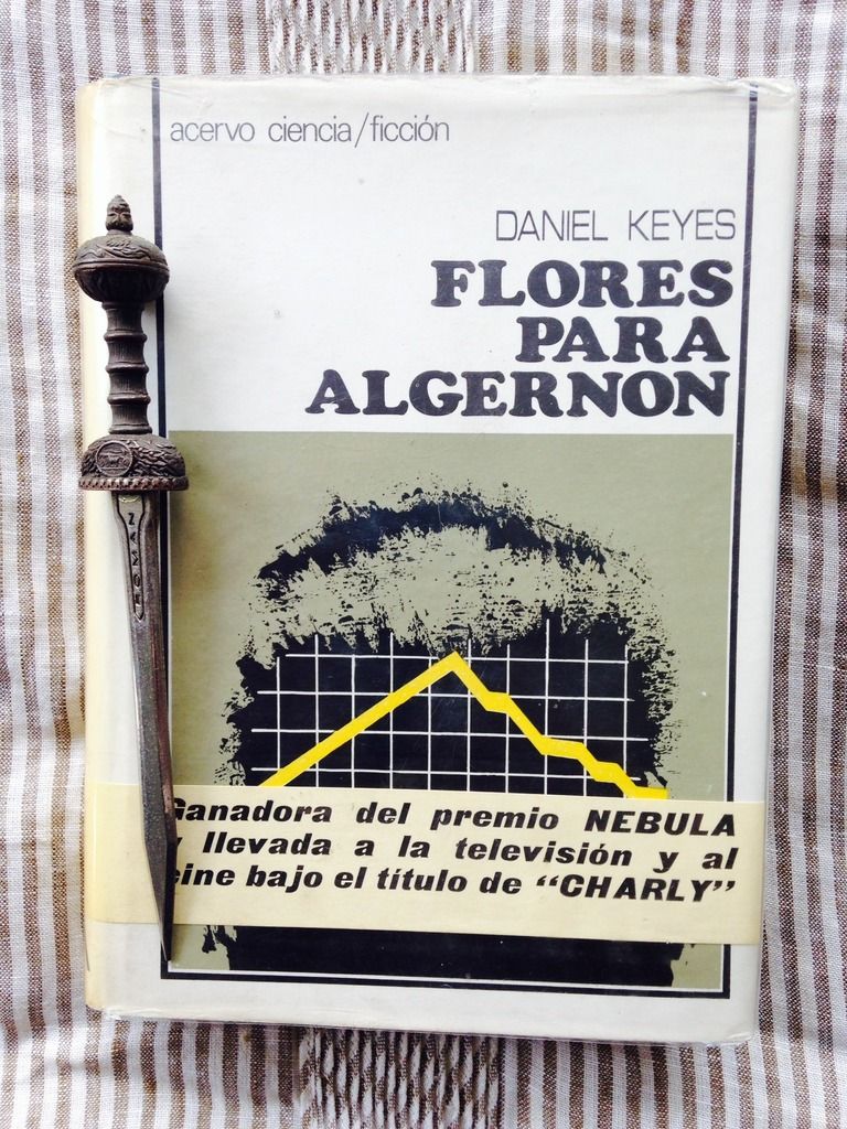photo 01.FloresParaAlgernon2_zpsfidyznqr.jpg