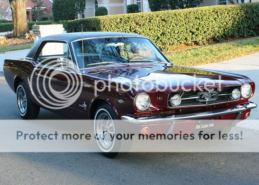 66 Ford mustang memorabilia #6